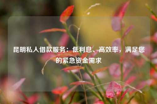 昆明私人借款服务：低利息、高效率，满足您的紧急资金需求 昆明借钱找我私人利息低 昆明个人借钱  第1张