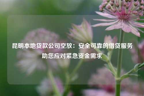 昆明本地贷款公司空放：安全可靠的借贷服务助您应对紧急资金需求 昆明本地贷款公司空放 昆明私人借款  第1张