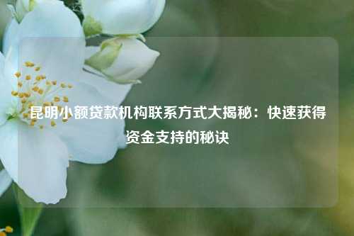 昆明小额贷款机构联系方式大揭秘：快速获得资金支持的秘诀