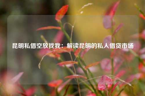 昆明私借空放找我：解读昆明的私人借贷市场