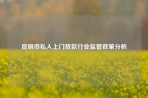 昆明市私人上门放款行业监管政策分析