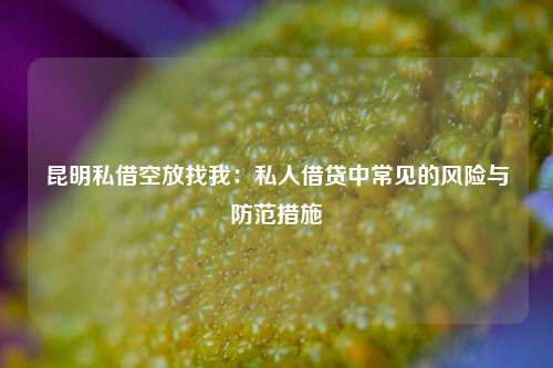 昆明私借空放找我：私人借贷中常见的风险与防范措施 昆明私借空放找我 昆明空放  第1张