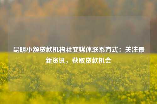 昆明小额贷款机构社交媒体联系方式：关注最新资讯，获取贷款机会 昆明小额贷款机构 昆明私借  第1张