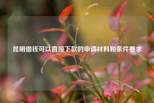 昆明借钱可以直接下款的申请材料和条件要求