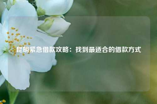 昆明紧急借款攻略：找到最适合的借款方式 昆明紧急借款攻略 昆明私人借款  第1张