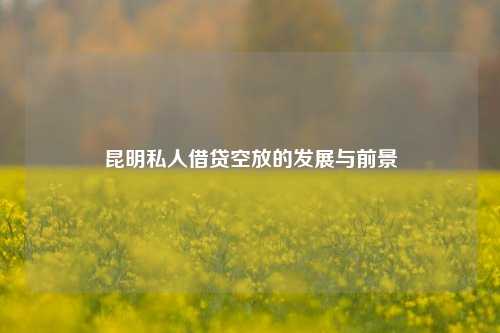 昆明私人借贷空放的发展与前景