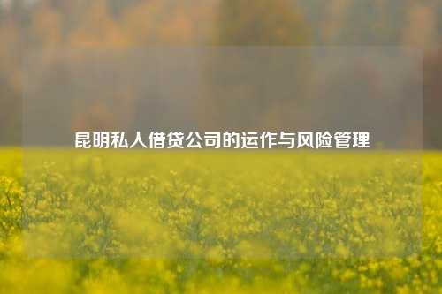 昆明私人借贷公司的运作与风险管理