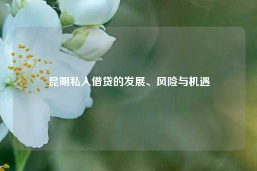 昆明私人借贷的发展、风险与机遇