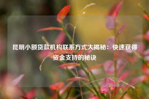 昆明小额贷款机构联系方式大揭秘：快速获得资金支持的秘诀 昆明小额贷款 昆明私人借款  第1张