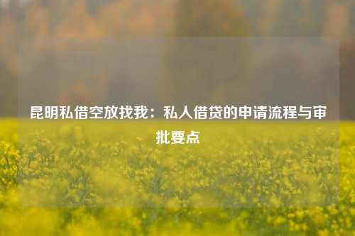 昆明私借空放找我：私人借贷的申请流程与审批要点