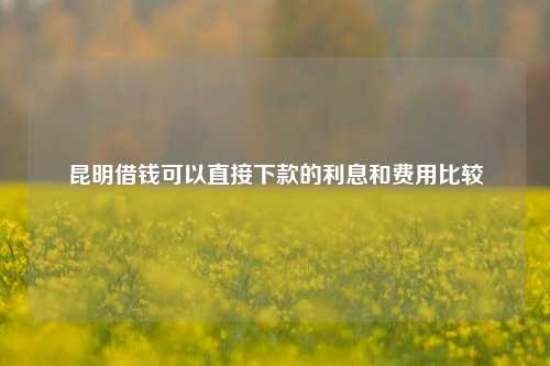 昆明借钱可以直接下款的利息和费用比较  昆明空放  第1张