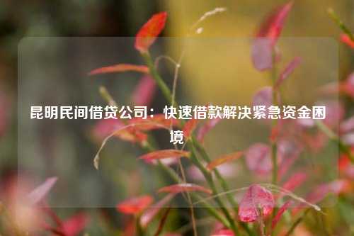 昆明民间借贷公司：快速借款解决紧急资金困境