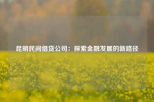 昆明民间借贷公司：探索金融发展的新路径