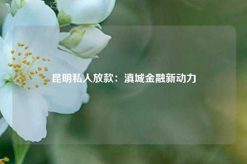 昆明私人放款：滇城金融新动力