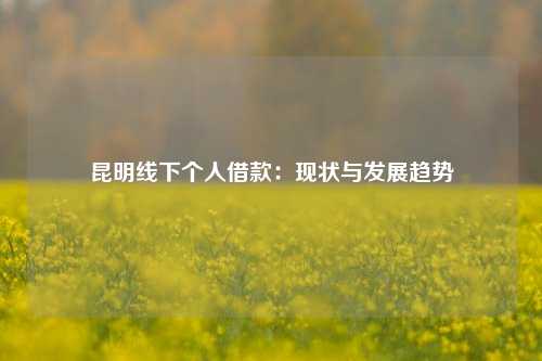 昆明线下个人借款：现状与发展趋势