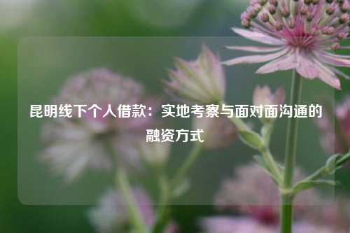昆明线下个人借款：实地考察与面对面沟通的融资方式 昆明线下个人借款 昆明私借  第1张