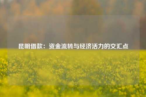 昆明借款：资金流转与经济活力的交汇点