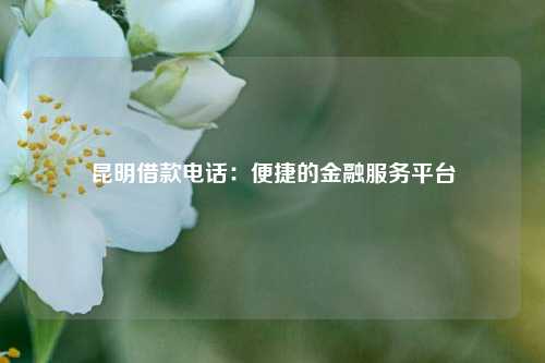 昆明借款电话：便捷的金融服务平台