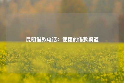 昆明借款电话：便捷的借款渠道
