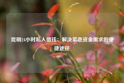 昆明24小时私人借钱：解决紧急资金需求的便捷途径 昆明24小时私人借钱 昆明空放  第1张
