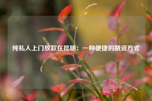 纯私人上门放款在昆明：一种便捷的融资方式