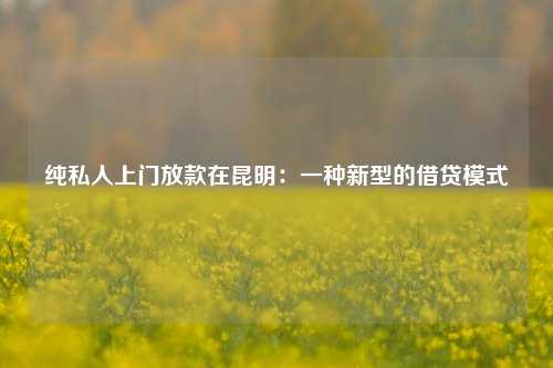 纯私人上门放款在昆明：一种新型的借贷模式