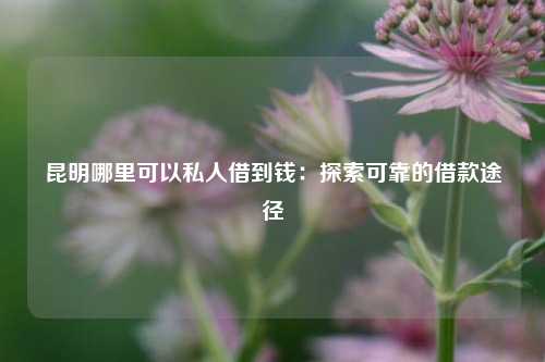 昆明哪里可以私人借到钱：探索可靠的借款途径