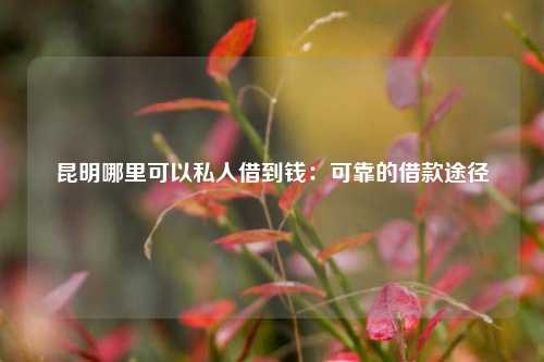 昆明哪里可以私人借到钱：可靠的借款途径 昆明哪里可以私人借到钱 昆明空放  第1张