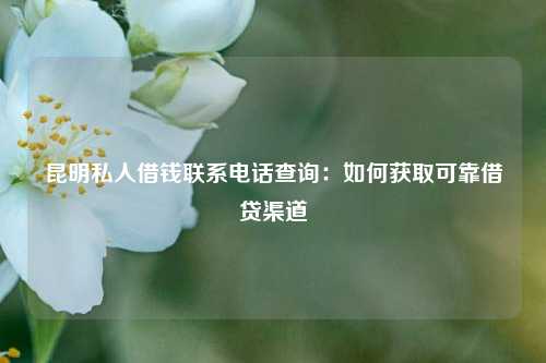昆明私人借钱联系电话查询：如何获取可靠借贷渠道 昆明私人借钱联系电话查询 昆明私人借款  第1张
