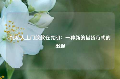 纯私人上门放款在昆明：一种新的借贷方式的出现 纯私人上门放款在昆明 昆明空放  第1张