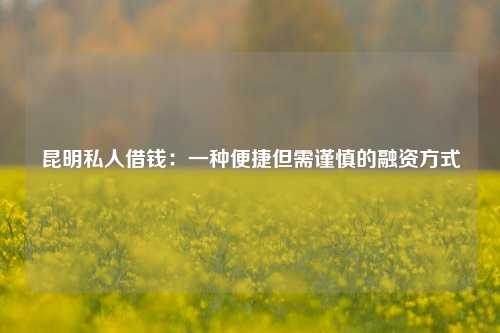 昆明私人借钱：一种便捷但需谨慎的融资方式 昆明私人借钱 昆明私人借款  第1张