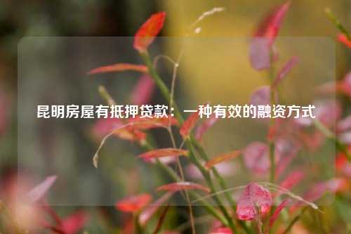 昆明房屋有抵押贷款：一种有效的融资方式 昆明房屋有抵押贷款 昆明私人借款  第1张