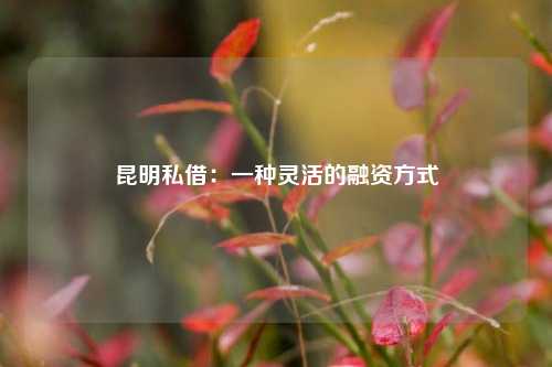 昆明私借：一种灵活的融资方式
