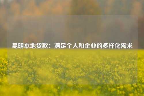 昆明本地贷款：满足个人和企业的多样化需求
