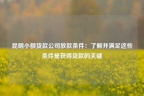 昆明小额贷款公司放款条件：了解并满足这些条件是获得贷款的关键