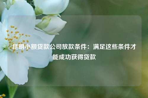 昆明小额贷款公司放款条件：满足这些条件才能成功获得贷款 昆明小额贷款公司放款条件 昆明私人借款  第1张