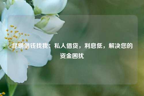 昆明借钱找我：私人借贷，利息低，解决您的资金困扰