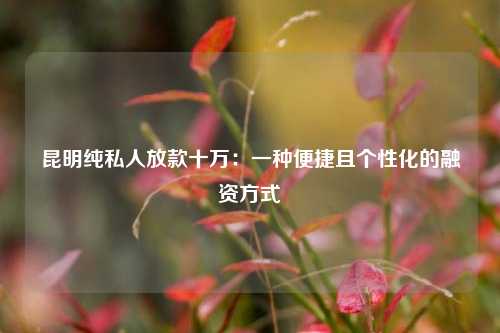 昆明纯私人放款十万：一种便捷且个性化的融资方式