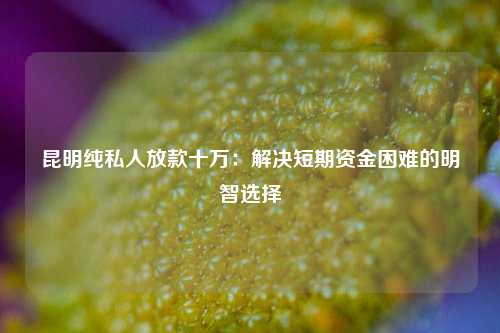 昆明纯私人放款十万：解决短期资金困难的明智选择 昆明纯私人放款十万 昆明私人借钱  第1张