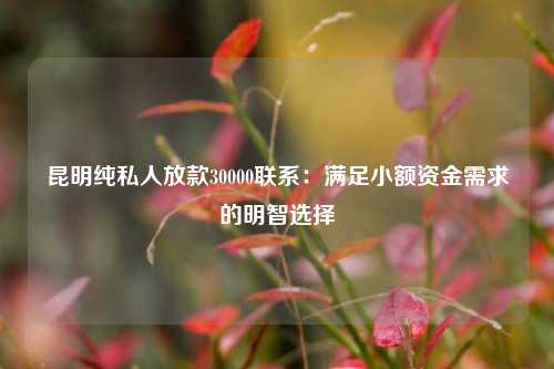 昆明纯私人放款30000联系：满足小额资金需求的明智选择