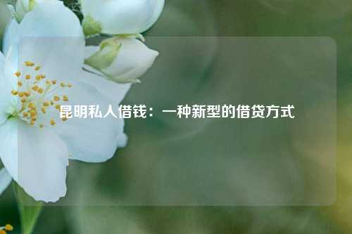 昆明私人借钱：一种新型的借贷方式 昆明私人借钱 昆明私人借款  第1张