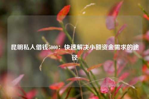 昆明私人借钱5000：快速解决小额资金需求的途径 昆明私人借钱5000 昆明空放  第1张