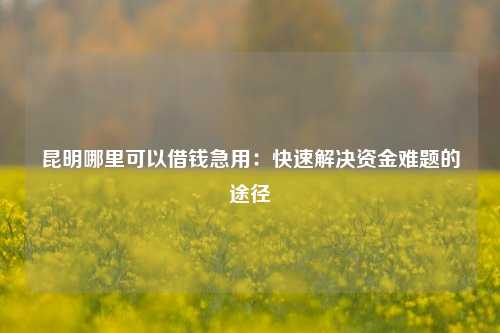 昆明哪里可以借钱急用：快速解决资金难题的途径