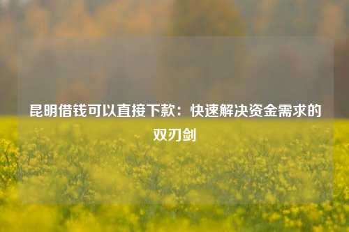 昆明借钱可以直接下款：快速解决资金需求的双刃剑