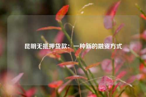 昆明无抵押贷款：一种新的融资方式 昆明无抵押贷款 昆明私借  第1张
