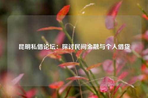 昆明私借论坛：探讨民间金融与个人借贷