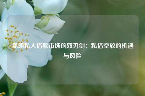昆明私人借款市场的双刃剑：私借空放的机遇与风险 昆明私人借款市场 昆明私借  第1张