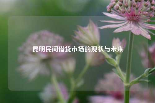 昆明民间借贷市场的现状与未来 昆明民间借贷 昆明空放  第1张