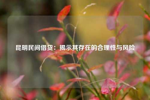 昆明民间借贷：揭示其存在的合理性与风险 昆明民间借贷 昆明空放  第1张