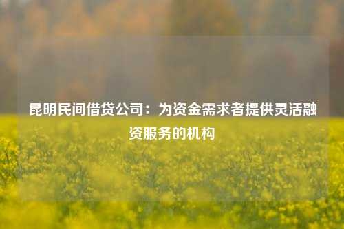 昆明民间借贷公司：为资金需求者提供灵活融资服务的机构